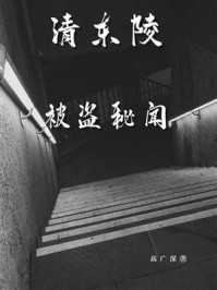 《清东陵被盗秘闻》-高广深