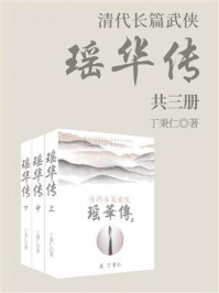 《清代长篇武侠：瑶华传（套装三册）》-丁秉仁