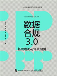 《数据合规3.0基础理论与场景指引》-陈吉栋