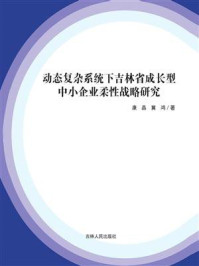 《动态复杂系统下吉林省成长型中小企业柔性战略研究》-康晶