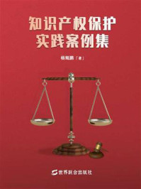 《知识产权保护实践案例集》-杨鲲鹏