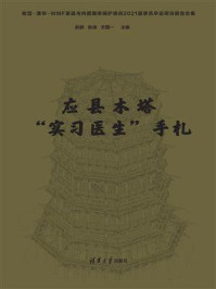 《应县木塔“实习医生”手札》-赵鹏