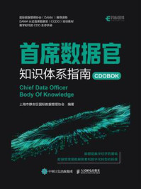 《首席数据官知识体系指南》-上海市静安区国际数据管理协会