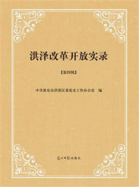 《洪泽改革开放实录（第4辑）》-中共淮安市洪泽区委党史工作办公室