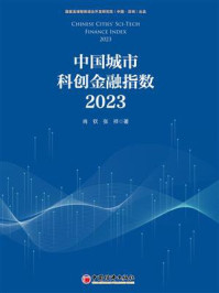 《中国城市科创金融指数（2023）》-肖钦