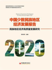 《中国少数民族地区经济发展报告.2020：民族地区经济高质量发展研究》-郑长德