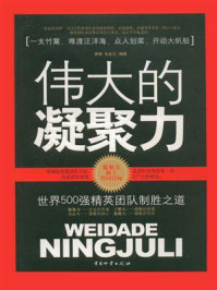 《伟大的凝聚力：世界500强精英团队制胜之道》-萧萧