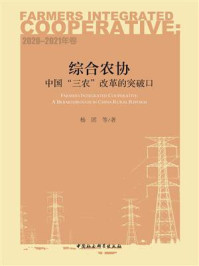 《综合农协：中国“三农”改革的突破口.2020—2021年卷》-杨团