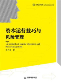 《资本运营技巧与风险管理》-王开良