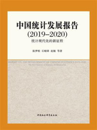 《中国统计发展报告（2019-2020）：统计现代化的新征程》-陈梦根