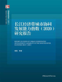 《长江经济带城市协同发展能力指数（2020）研究报告》-曾刚