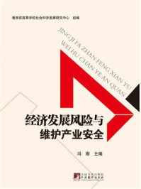 《经济发展风险与维护产业安全》-冯刚