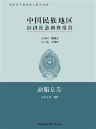 《中国民族地区经济社会调查报告·勐腊县卷》-陈奎元