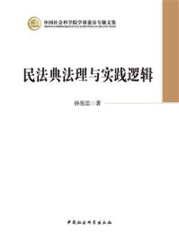 《民法典法理与实践逻辑》-孙宪忠