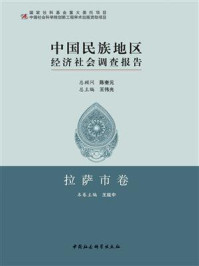 《中国民族地区经济社会调查报告·拉萨市卷》-王延中