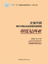 《企聚丝路：海外中国企业高质量发展调查（印度尼西亚）》-杨晓强