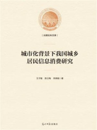 《城市化背景下我国城乡居民信息消费研究》-王子敏