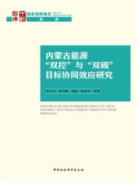 《内蒙古能源“双控”与“双碳”目标协同效应研究》-朱守先