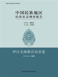 《中国民族地区经济社会调查报告·环江毛南族自治县卷》-方素梅