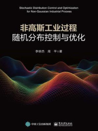 《非高斯工业过程随机分布控制与优化》-李明杰