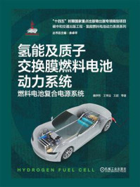 《氢能及质子交换膜燃料电池动力系统：燃料电池复合电源系统》-魏学哲